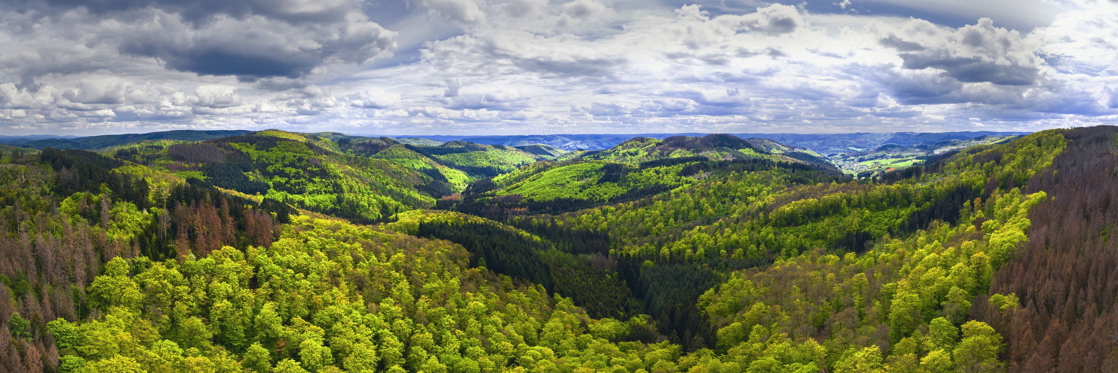 Panoramic view of a vast landscape with rolling green forested hills under a cloudy sky.