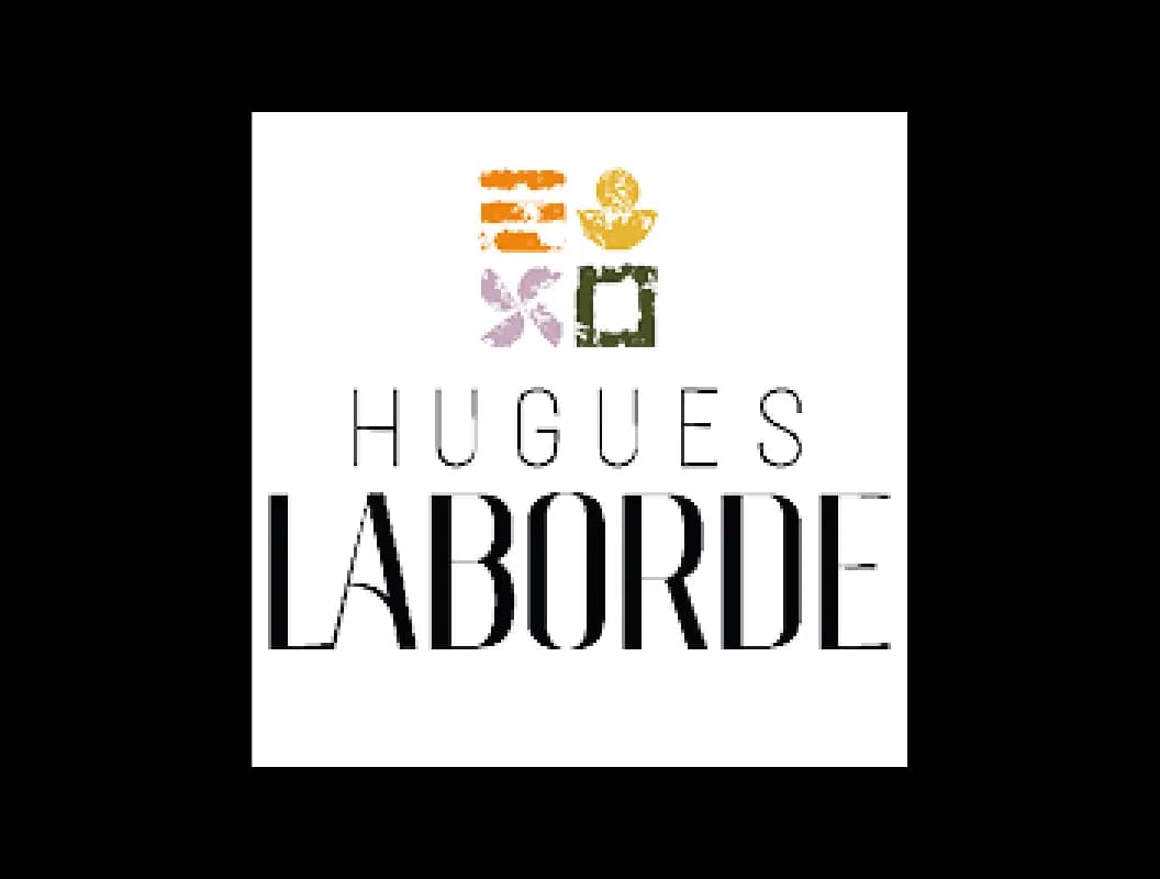 Logo for Hugues Laborde featuring four abstract, colorful plant-like symbols above the name.