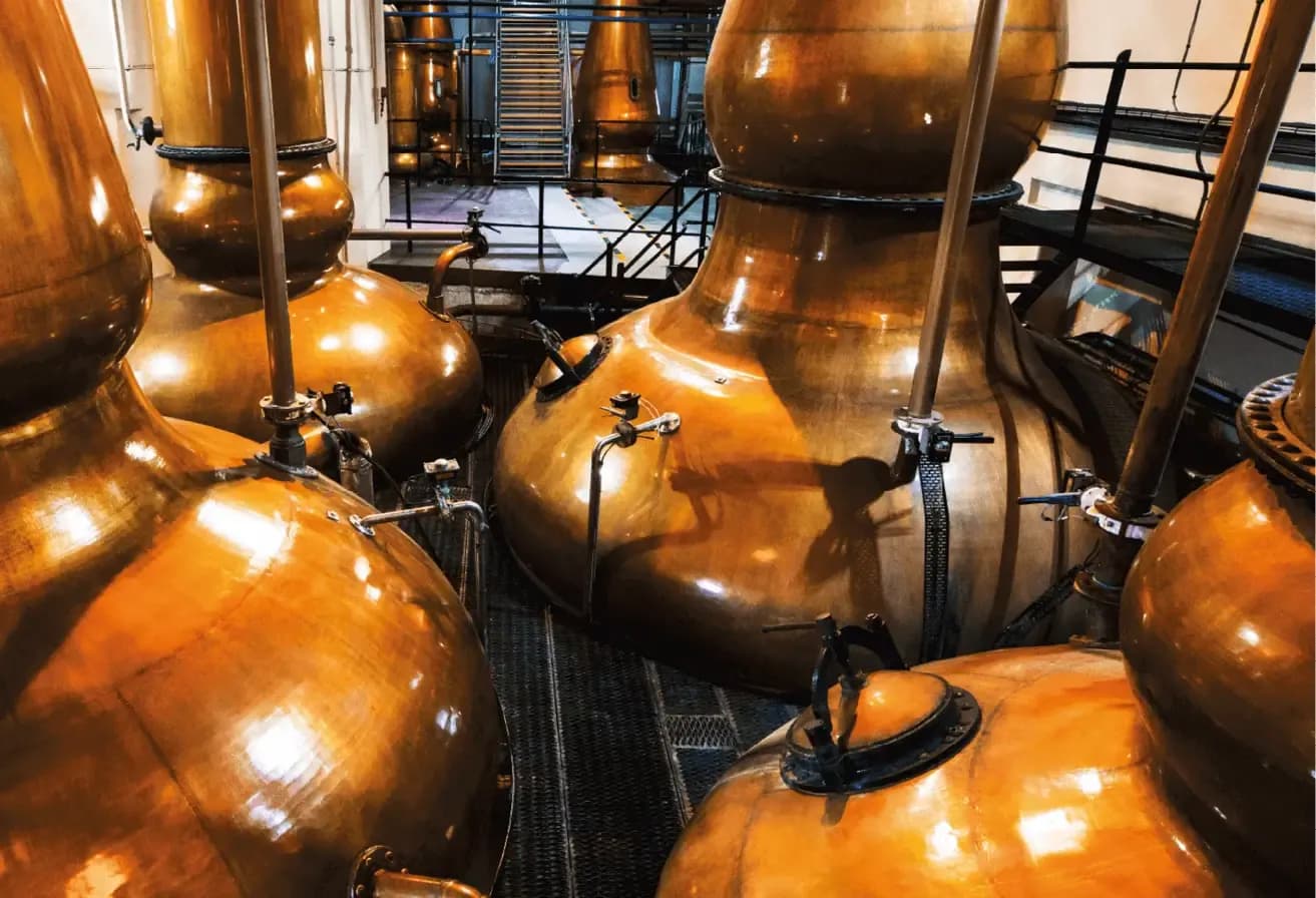 Large, gleaming copper stills arranged in an industrial distillery production room with pipes.