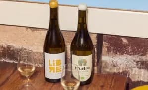 Two bottles of white wine, one labeled "LIBRE," and two glasses filled on a table.