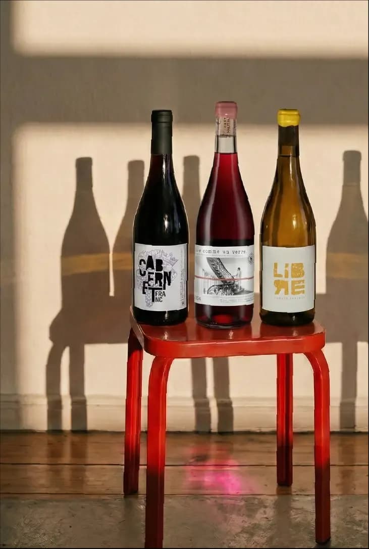 Three wine bottles, red, rosé, and white, stand on a red stool with long shadows.
