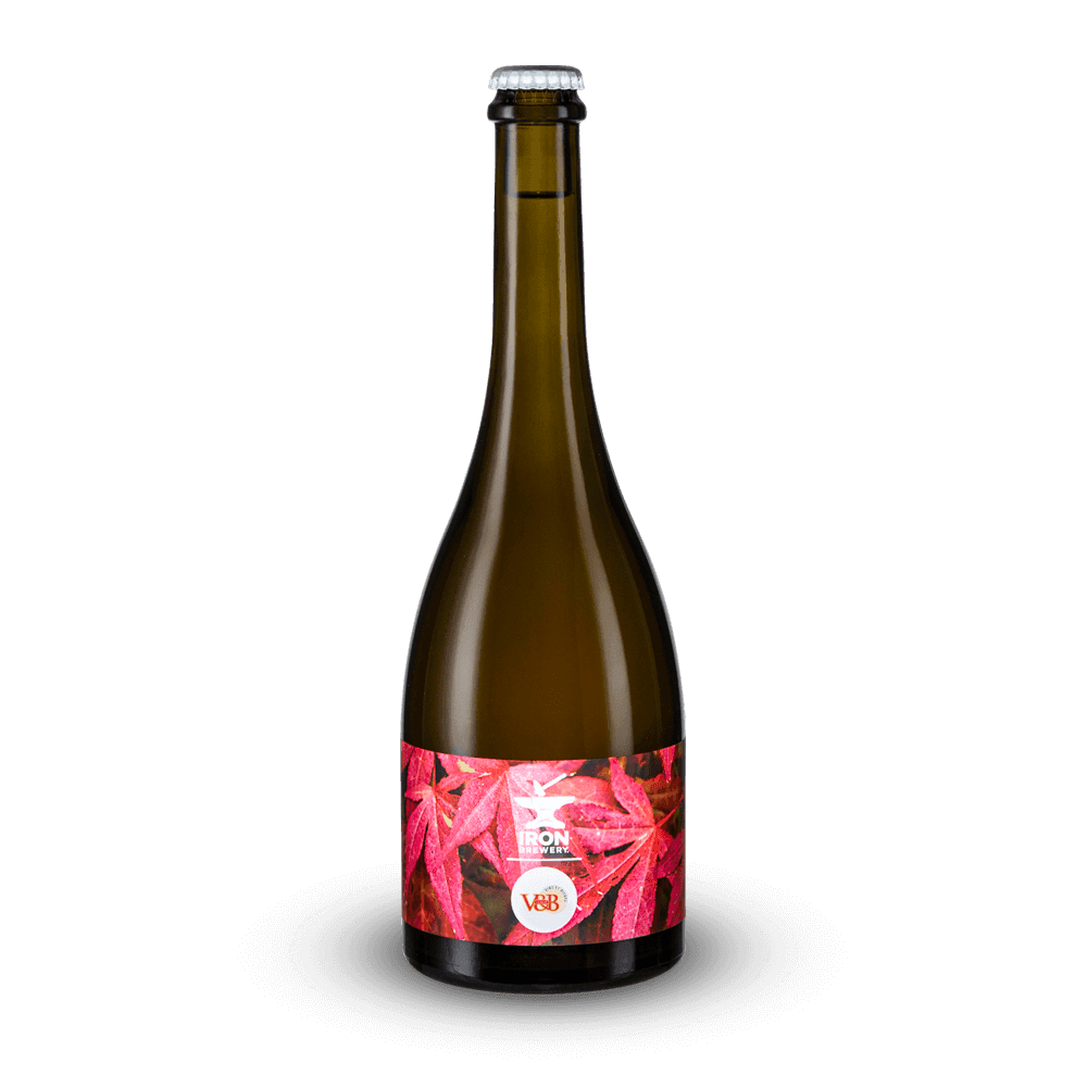 Wild Saint-Émilion Foeder Aged 75 cl