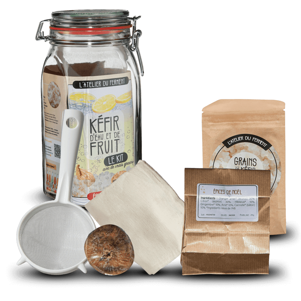 Kit de fabrication de Kéfir de Fruit - Edition Hiver
