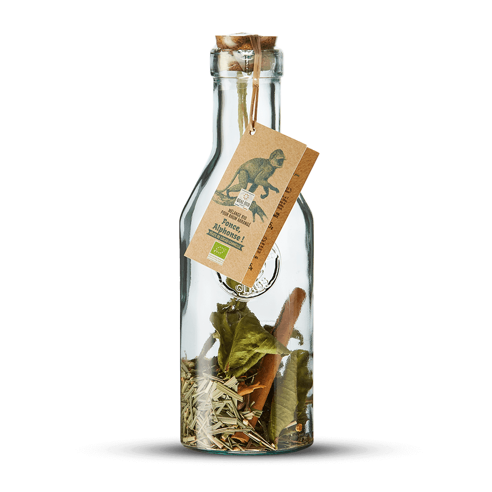 Mélange pour Cocktail Arrangé en Carafe "Fonce Alphonse"