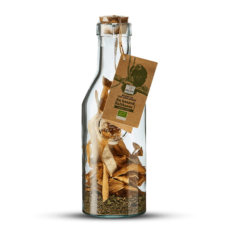 Mélange pour Cocktail Arrangé en Carafe "Au Hasard Balthazar"