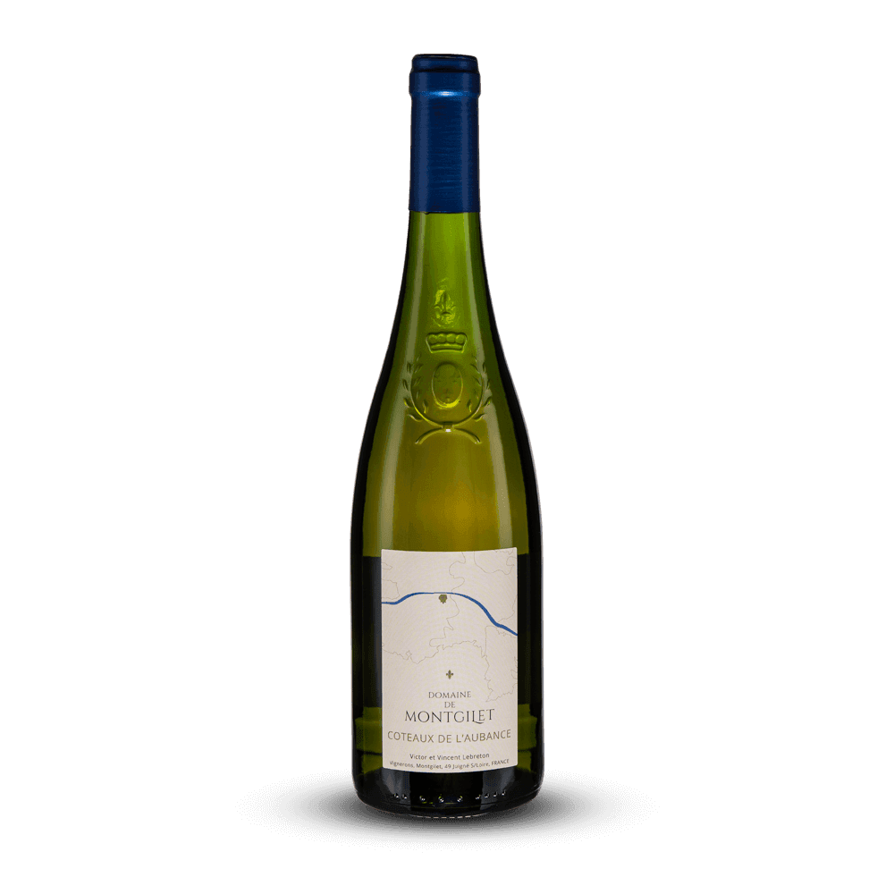 Blanc Moelleux 2020 - Domaine de Montgilet