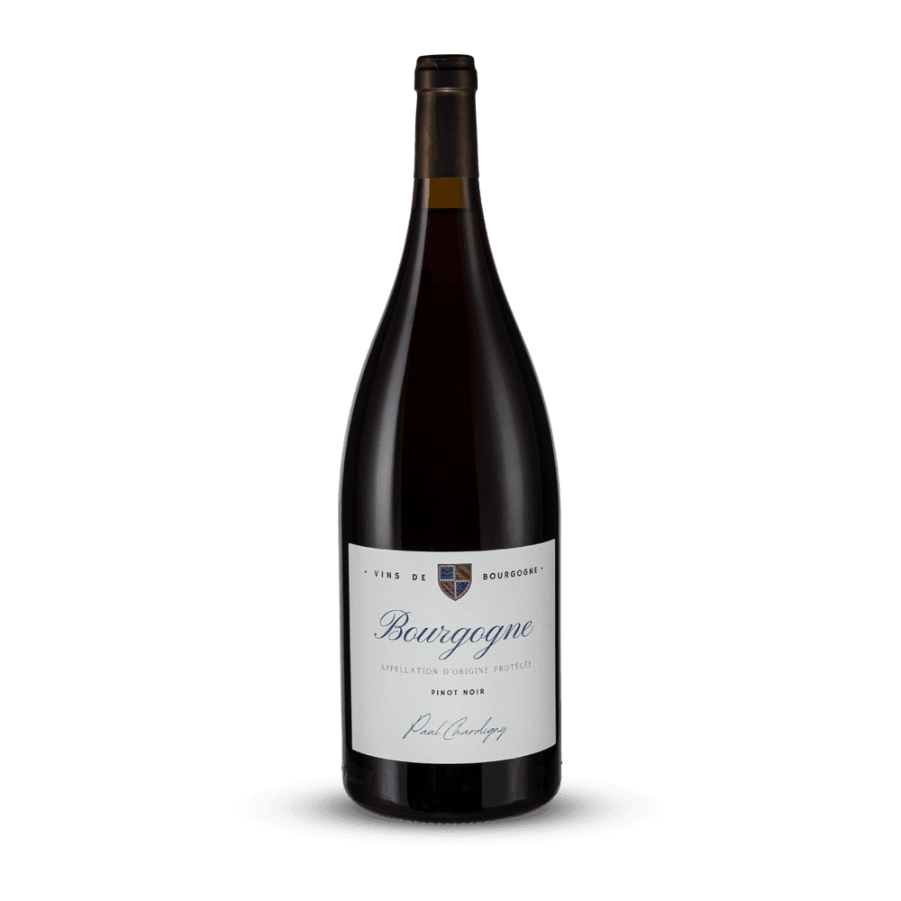 Magnum Pinot Noir Rouge 2024 - Paul Chardigny