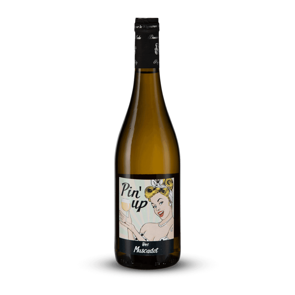Pin'Up Blanc 2023 - Domaine de la Coche