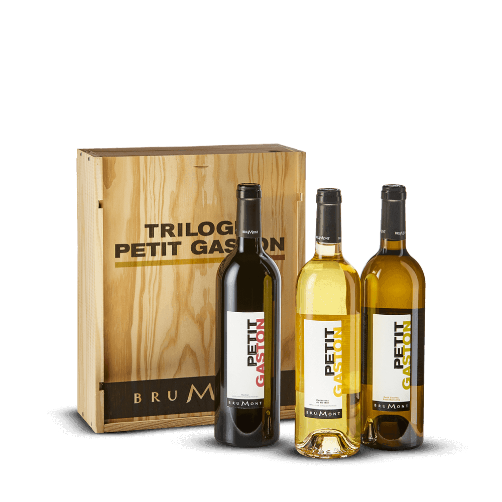 Coffret Trilogie Petit Gaston