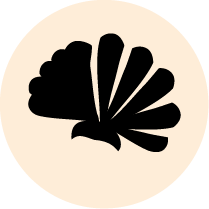 Coquillages et crustacés