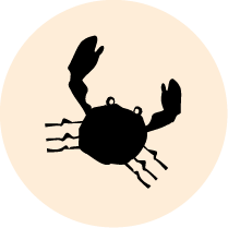 Crustacés