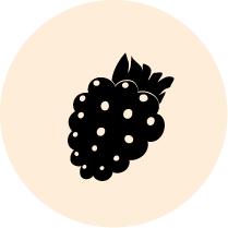 Dessert fruité