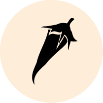 Plats épicés