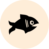Poisson