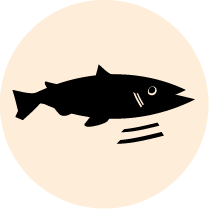 Tartare de saumon
