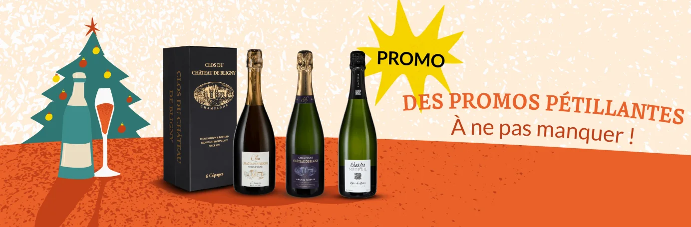 Slider - Nos bulles en promo