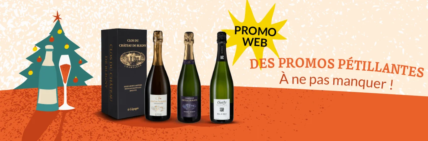 Slider - Nos bulles en promo