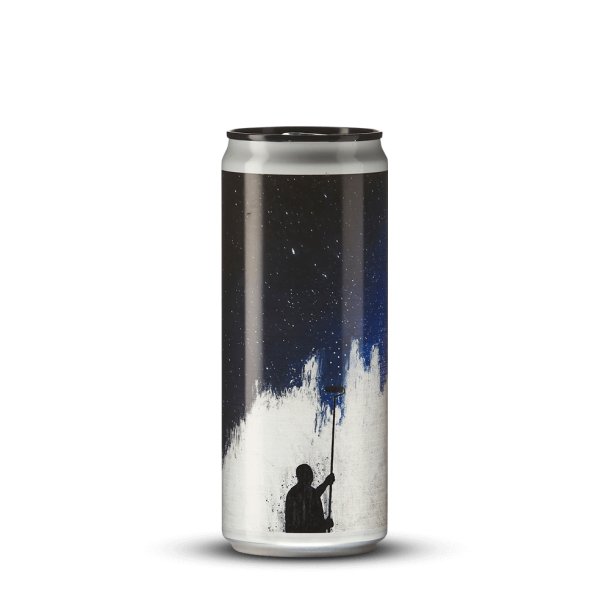 Paint The Stars 33 cl