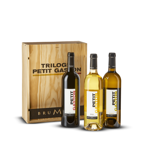 Coffret Trilogie Petit Gaston