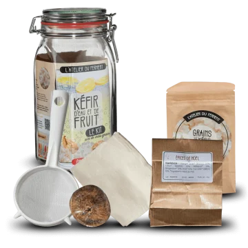 Kit de fabrication de Kéfir de Fruit - Edition Hiver