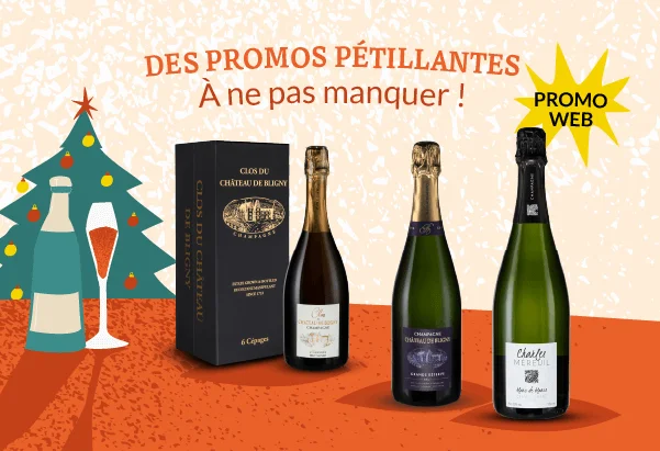 Slider - Nos bulles en promo