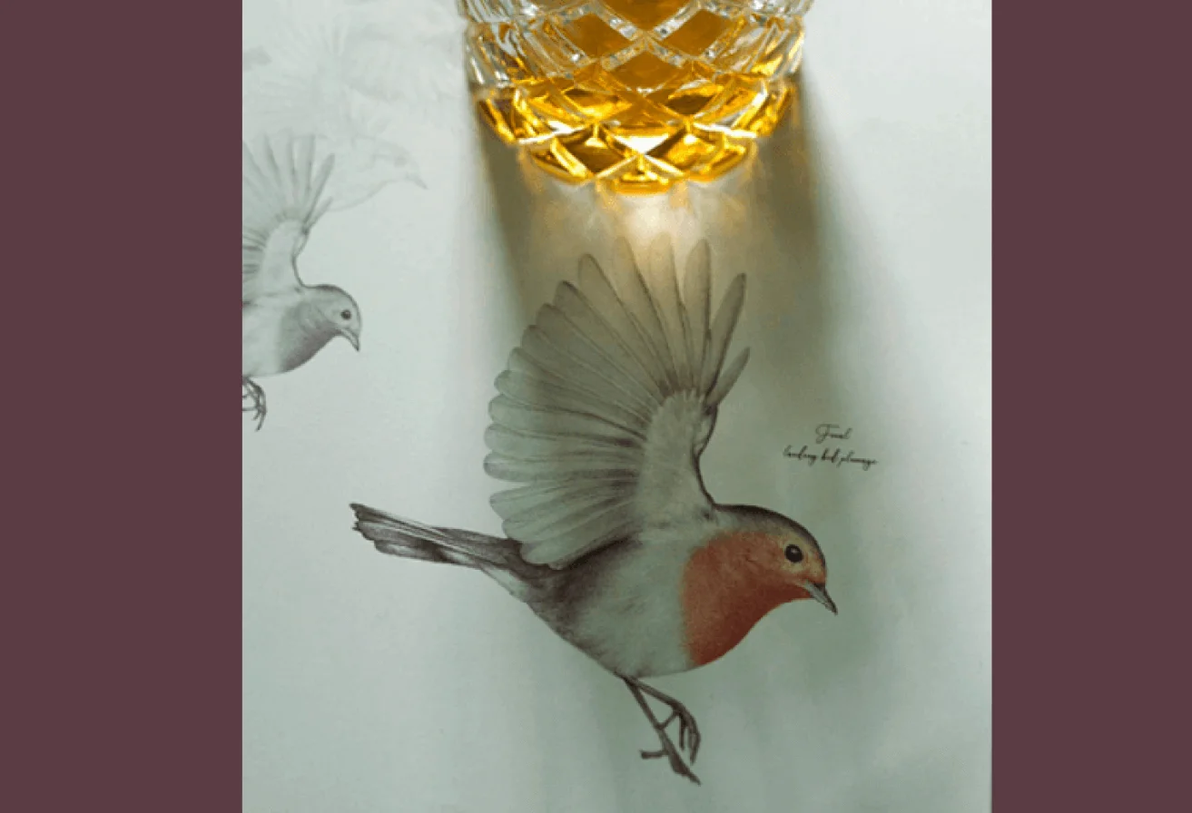 Oiseau Redbreast