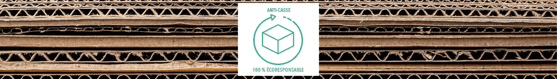 Visuel Carton anti casse